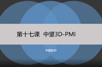 功能教程17：PMI
